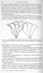 Fig. 218. Chronophotographie montrant les attitudes successives que prend le schéma de M. Le Hello,  [...]