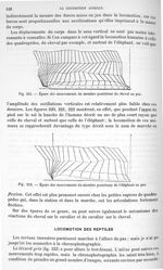 Fig. 221. Epure des mouvements du membre postérieur du cheval au pas/ Fig. 222. Epure des mouvements [...]