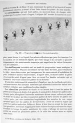 Fig. 227. Progression du scorpion - Traité de physique biologique. Tome premier