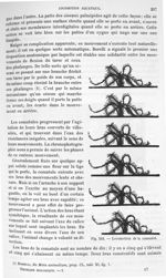 Fig. 233. Locomotion de la comaulet - Traité de physique biologique. Tome premier