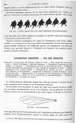 Fig. 235. Tortue nageant dans l'eau, allure quadrupède/ Fig. 236. Aile d'un insecte - Traité de phys [...]