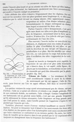 Fig. 244. Transformation de la trajectoire de l'aile d'un insecte par l'effet de la translation - Tr [...]