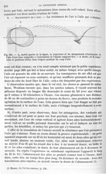 Fig. 261. Trajectoire et changements d'inclinaisons de l'aile d'une buse rapportés à l'articulation  [...]