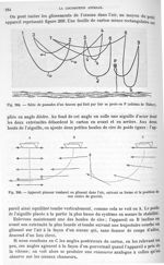 Fig. 268. Série de passades d'un faucon qui finit par lier sa paroi en P/ Fig. 269. Appareil planeur [...]