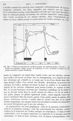 Fig. 300. Tracés de la pression de l'oreillette gauche, du ventricule gauche, de l'aorte - Traité de [...]