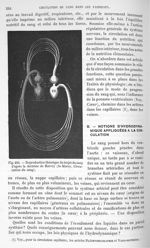 Fig. 320. reproduction théorique du trajet du sang d'après la doctrine de Harvey - Traité de physiqu [...]