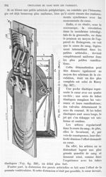 Fig. 327. Nouveau schéma de la circulation (Marey) - Traité de physique biologique. Tome premier