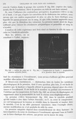 Fig. 342. Action du cœur sur la pression artérielle/ Fig. 343. Compression de l'aorte. Augmentation  [...]