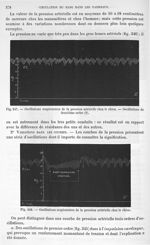 Fig. 347. Oscillations respiratoires de la pression artérielle chez le chien. Oscillation de deuxièm [...]