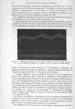 Fig. 352. Oscillation vaso-motrice de la pression artérielle. Courbe de Sigm. Mayer - Traité de phys [...]