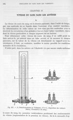 Fig. 357. A, Hémodromomètre de Volkmann; B et C, disposition des robinets - Traité de physique biolo [...]