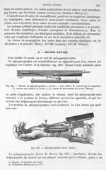 Fig. 369. Théorie du sphygmographe à ressort/ Fig. 370. Sphygmographe direct - Traité de physique bi [...]