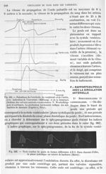 Fig. 381. Pulsations de l'oreillette du ventricule et de l'aorte, avec indication de l'ouverture et  [...]