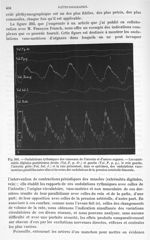 Fig. 393. Ondulations ruthmiques des vaisseaux de l'intestin et d'autres organes - Traité de physiqu [...]