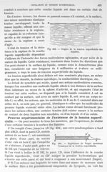 Fig. 403. Origine de la tension superficielle des liquides/ Fig. 404. Expérience de Dupré montrant l [...]