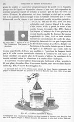 Fig. 405. et 406. Egalité de la tension superficielle dans toutes les directions/ Fig. 407. Edifices [...]