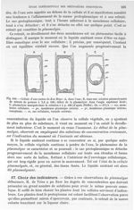 Fig. 440. Cellule d'une racine de Zea Mays - Traité de physique biologique. Tome premier