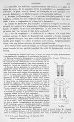 Fig. 445 - Traité de physique biologique. Tome premier