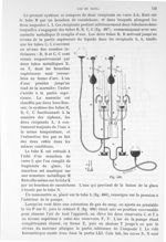 Fig. 486 - Traité de physique biologique. Tome premier