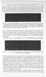 Fig. 496. Mouvements respiratoires, mouvements de la soupape/ Fig. 497. A, mouvements respiratoires; [...]