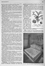 Fig. 412. Châtaignier (Castanea vesca) / Fig. 413. Bain à eau courante, à Châtel-Guyon (Puy-de-Dôme) [...]