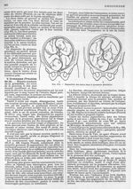 Fig. 972. Disposition des foetus dans la grossesse gémellaire - Larousse médical illustré ; sous la  [...]