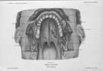 Planche 14. Région palatine. Face antérieure. - Précis-atlas de dissection des régions