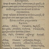 0005 - sn - Syrupi lenientes pectus & asperam arteriam somnumque conciliantes. Astringentes / Bilem crassam praeparantia. Radices. Herbae. Fructus