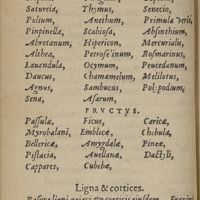 0008 - sn - Fructus. Ligna & cortices