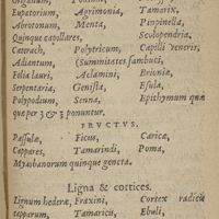 0011 - sn - Fructus. Ligna & cortices. Semina