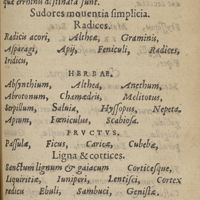 0029 - sn - Sternutatoria / Sudores mouentia simplicia