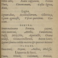 0031 - sn - Cortices. Ligna. Semina. Flores. Gummi