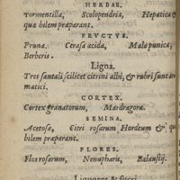 0034 - sn - Confortantia calidis morbis destinata que sumumtur intro & foris. Radices. Herbae. Fructus. Ligna. Cortex. Semina. Flores. Liquores & succi