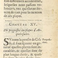0095 - Page 69 - Chapitre XV. Du prognostic des playes d'arquebusades