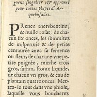 0425 - Page 401 - Description d'un baûme ou onguent singulier, & approuué pour toutes playes d'arquebusades