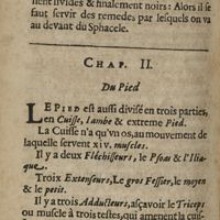 0574 - Page 542 - Chap. II. Du pied