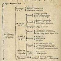 0196 - Page 179 - Pour avoir une parfaite connoissance des maladies