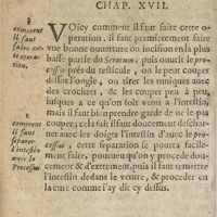0060 - Page 42 - De l'operation manuelle de cet accident. Chap. XVII