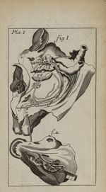 Pla. I Fig. 1 et Fig. 2 - Nouvelle anatomie raisonnée ou les usages de la structure du corps de l'ho [...]