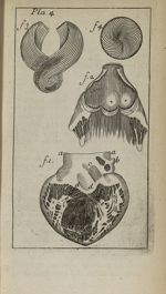 Pla. 4 - Nouvelle anatomie raisonnée ou les usages de la structure du corps de l'homme et de quelque [...]