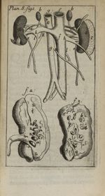 Plan. 8 - Nouvelle anatomie raisonnée ou les usages de la structure du corps de l'homme et de quelqu [...]