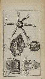 Pla. 13 - Nouvelle anatomie raisonnée ou les usages de la structure du corps de l'homme et de quelqu [...]