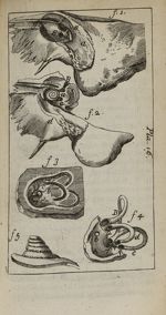 Pla. 16 - Nouvelle anatomie raisonnée ou les usages de la structure du corps de l'homme et de quelqu [...]