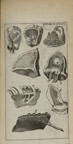 planche 17 - Nouvelle anatomie raisonnée ou les usages de la structure du corps de l'homme et de que [...]