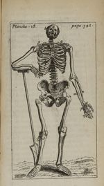 Planche 18 - Nouvelle anatomie raisonnée ou les usages de la structure du corps de l'homme et de que [...]