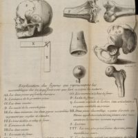0072 - Page sans numérotation - Explication des figures qui representent les assemblages des os, et qui font voir que l'art a copié la nature (en manuscrit)