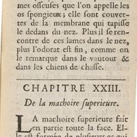 0123 - Page 99 - Chapitre XXIII. De la machoire superieure