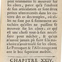 0125 - Page 101 - Chapitre XXIV. De l'os maxillaire