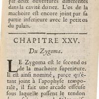 0127 - Page 103 - Chapitre XXV. Du zygoma