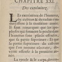 0312 - Page 288 - Chapitre XXI. Des extrémitez
